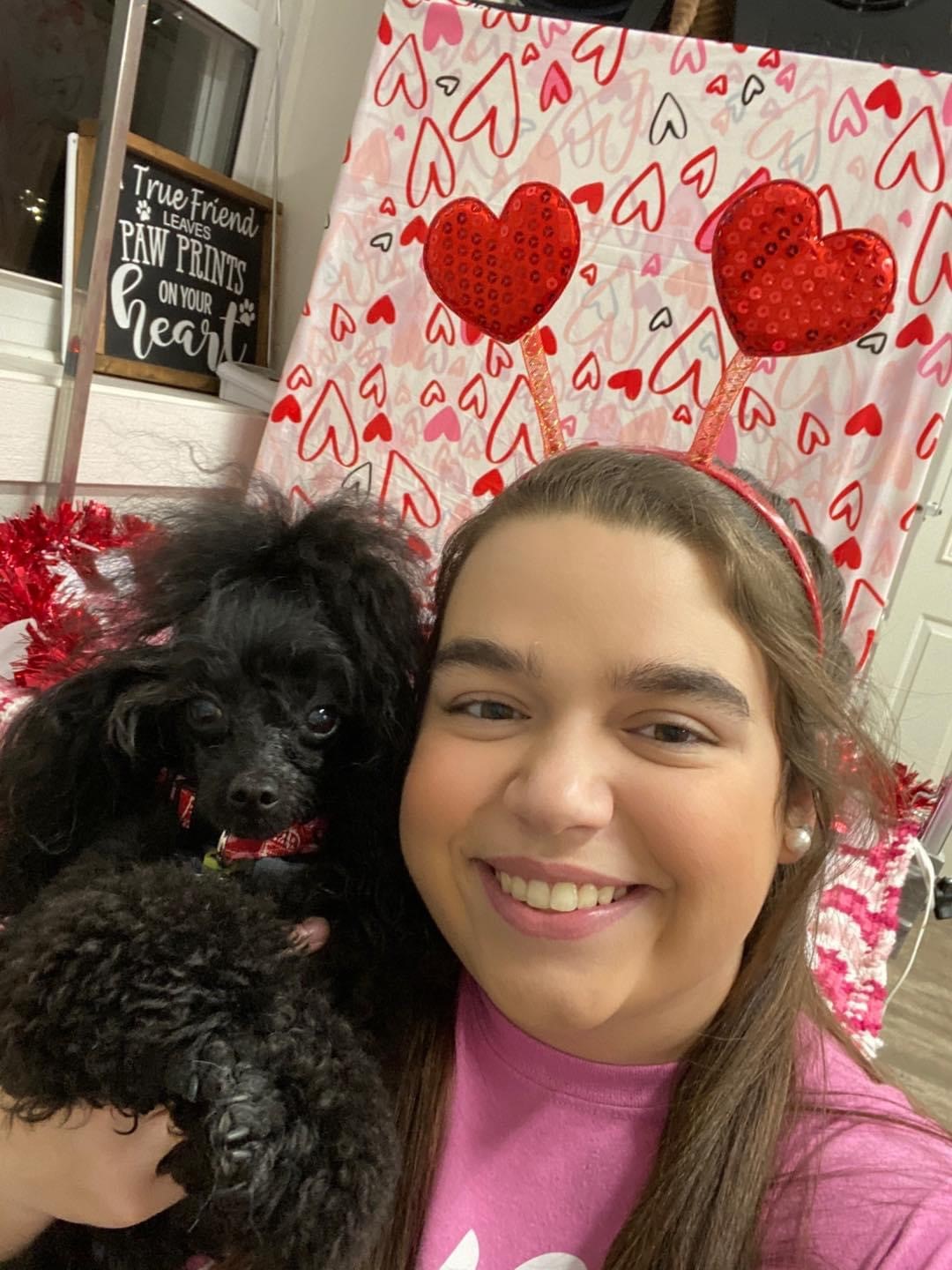 Professional Pet Grooming Salon South Paw Bed and Bath